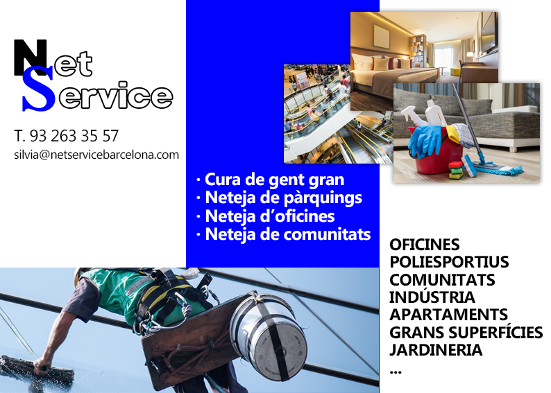 Net Service 