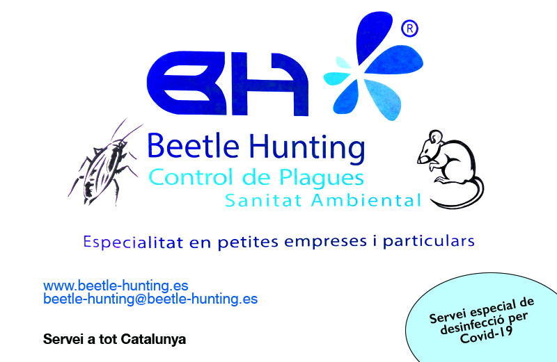 Beetle Hunting