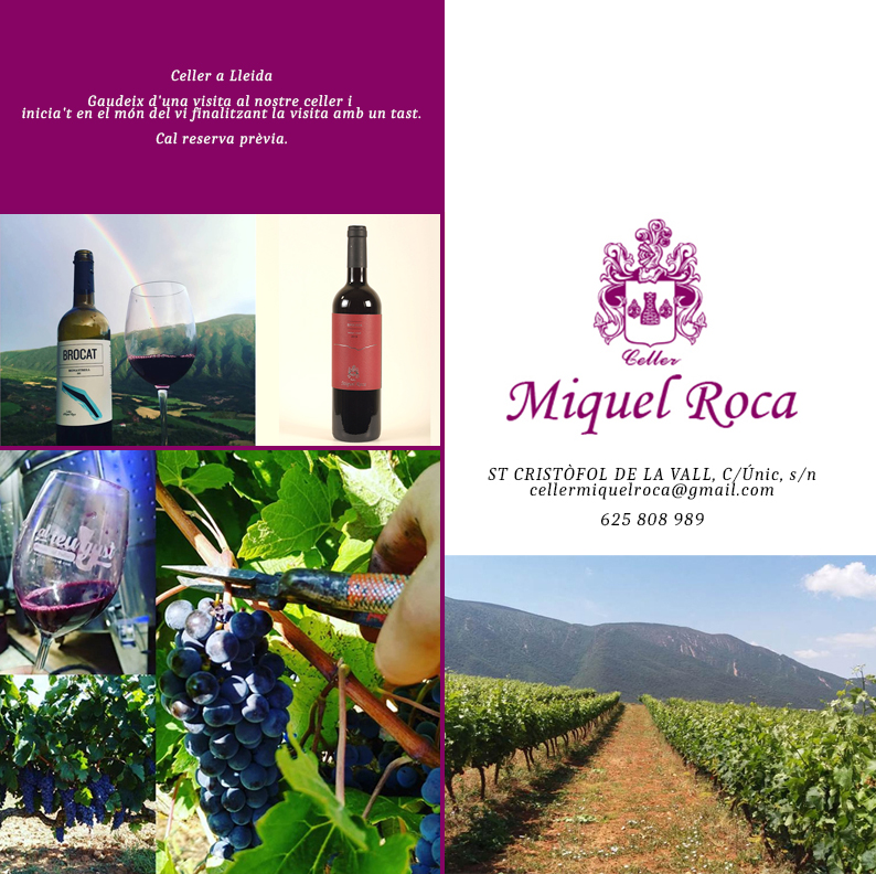 Celler Miquel Roca
