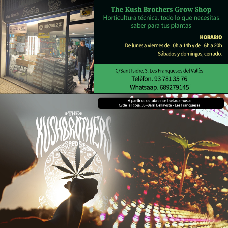 The Kusch Brothers